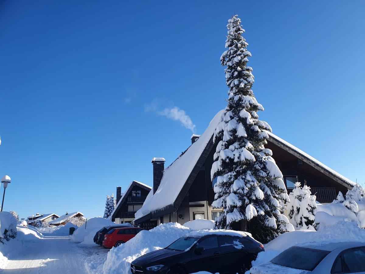 Ferienhaus-Schoenwald Im Herzen Des Schwarzwaldes 1Zimmer Wohnung Mit Terrasse App17 Eksteriør billede