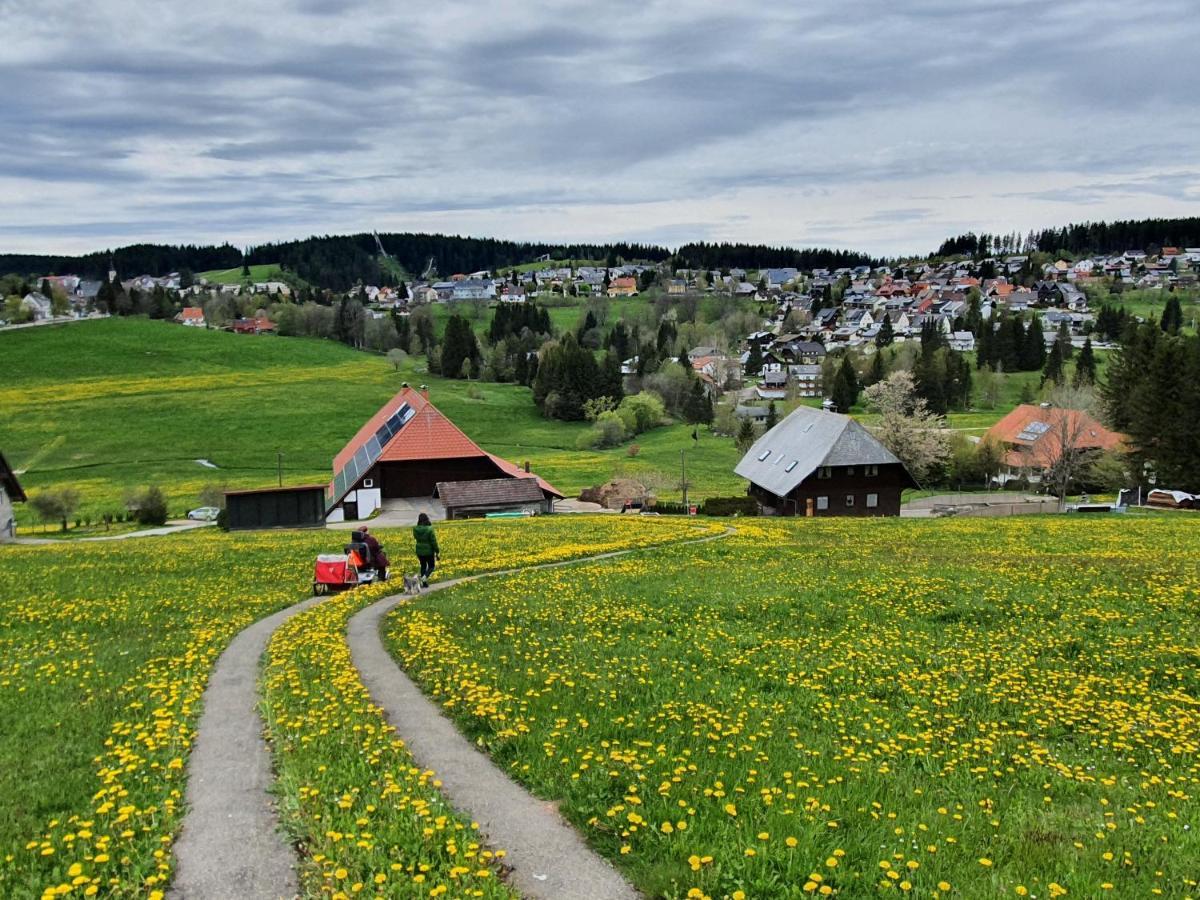 Ferienhaus-Schoenwald Im Herzen Des Schwarzwaldes 1Zimmer Wohnung Mit Terrasse App17 Eksteriør billede