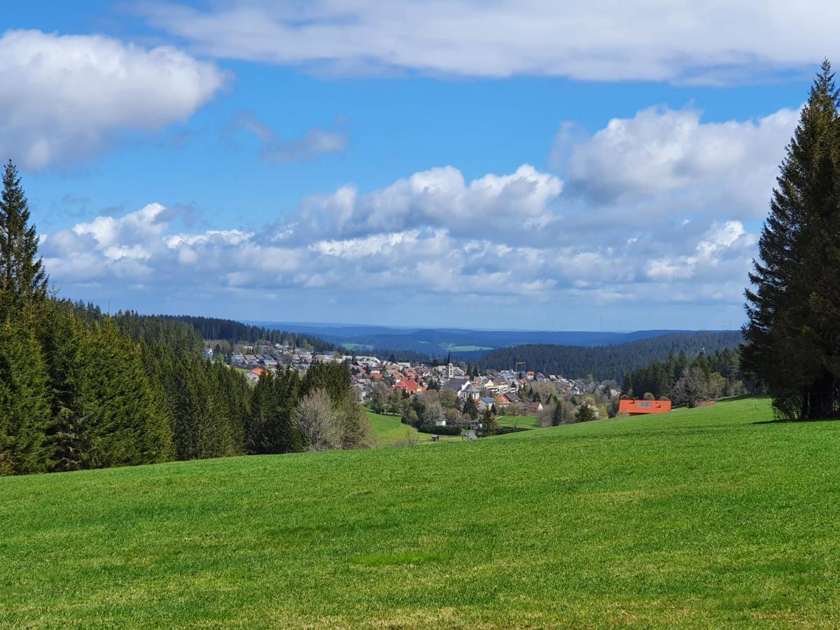 Ferienhaus-Schoenwald Im Herzen Des Schwarzwaldes 1Zimmer Wohnung Mit Terrasse App17 Eksteriør billede